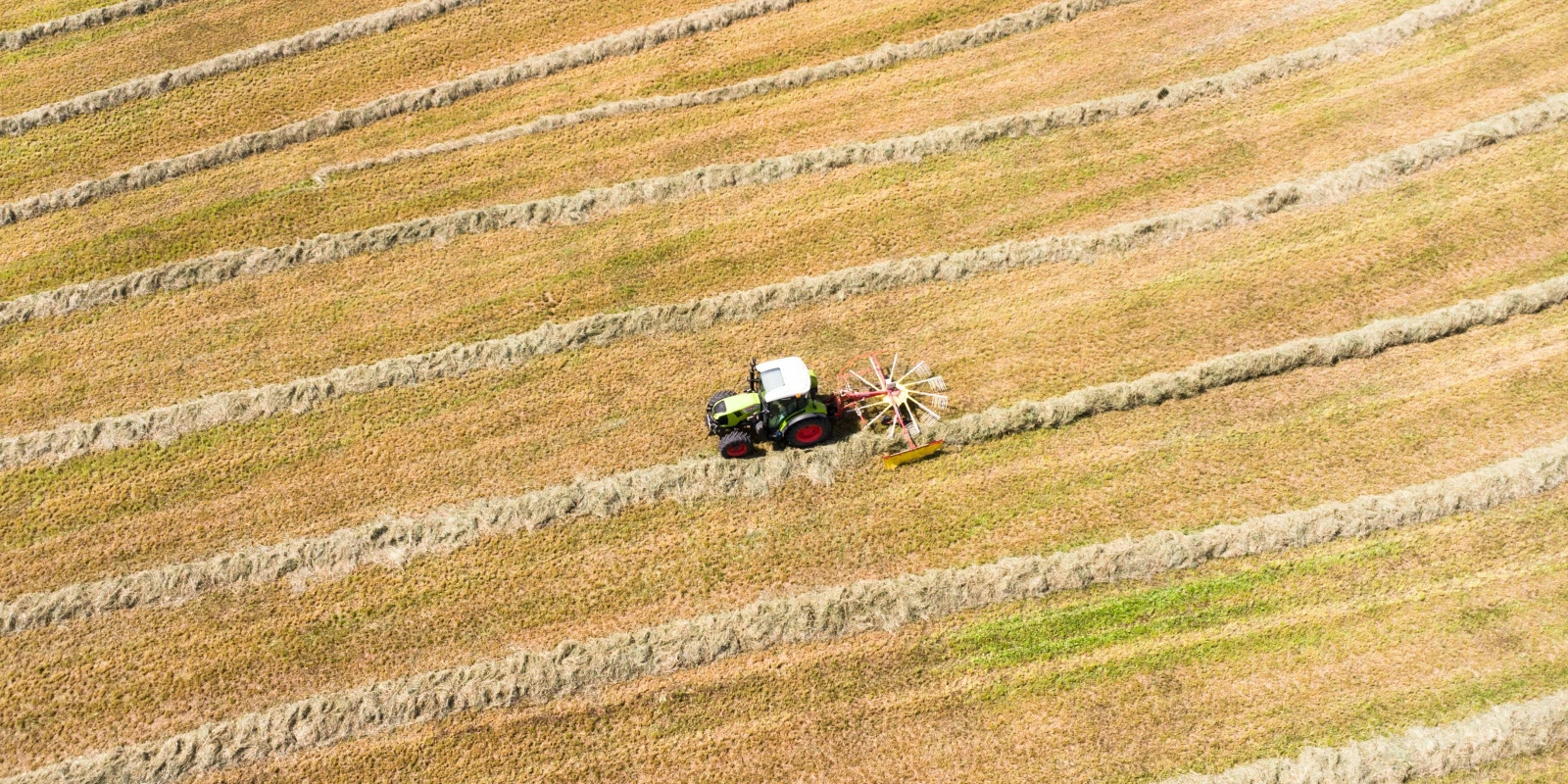 Pourquoi Choisir un BTSA ME (Ex-BTSA PA) en Alternance